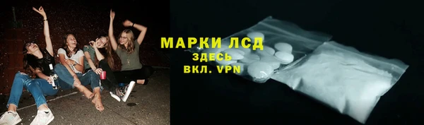 шишки Алзамай