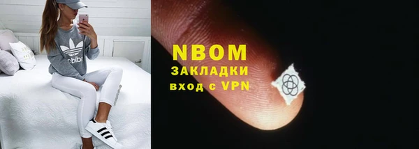 шишки Алзамай