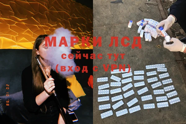 шишки Алзамай